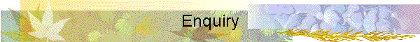 Enquiry