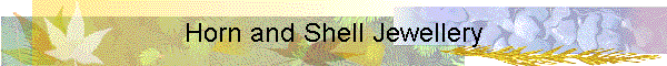Horn and Shell Jewellery
