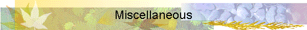 Miscellaneous