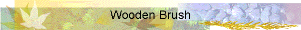 Wooden Brush